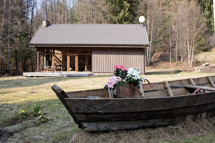 ���� ����